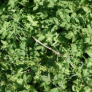 Group logo of 3 gratis tilbud