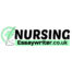Group logo of Nursing Essay Writer UK